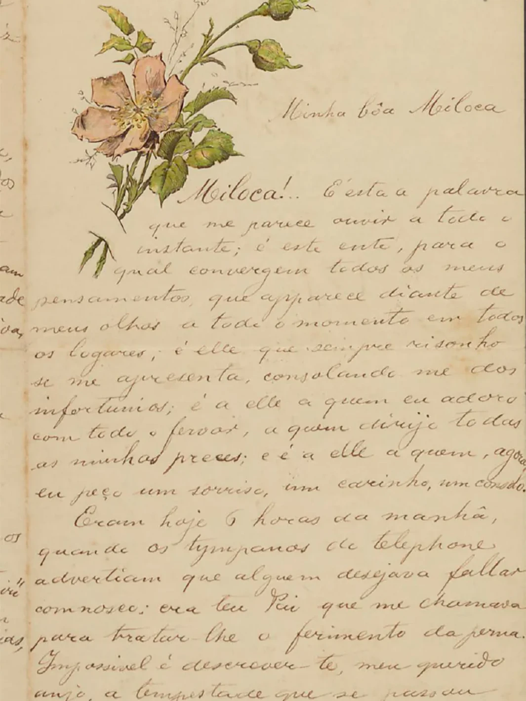 Carta escrita à mão, em tinta preta e com a caligrafia de Oswaldo Cruz em um papel de carta amarelado e dobrado ao meio. Na parte superior, à esquerda, há o desenho de uma flor com pétalas cor de rosa e folhas verdes em galhos. No cabeçalho: “Jardim, 10 de Abril de 1891. Minha doce Miloca”. Esta carta possui quatro páginas. Para conhecer o conteúdo dela, leia as cartas de Oswaldo para Miloquinha.